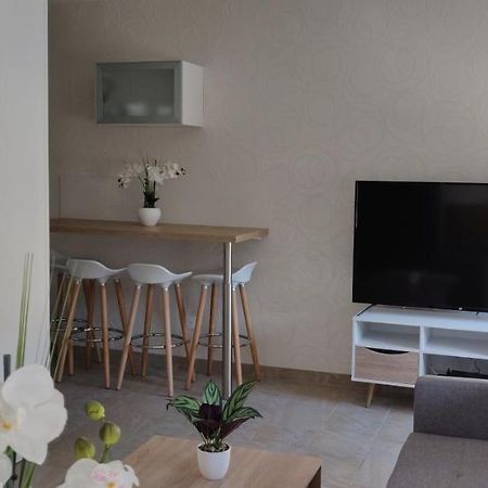Le Cygne, Appartement De Standing En Hyper-Centre Sarreguemines Ngoại thất bức ảnh