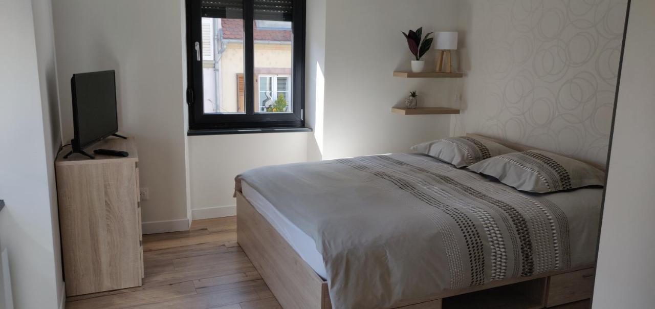 Le Cygne, Appartement De Standing En Hyper-Centre Sarreguemines Ngoại thất bức ảnh