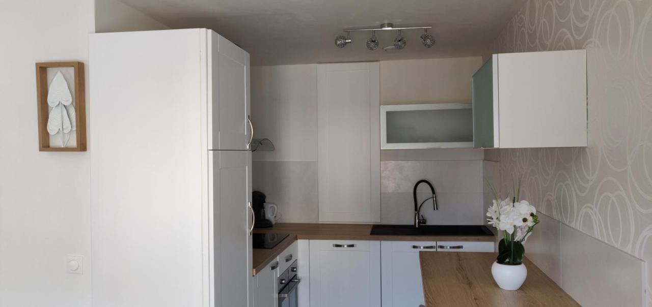 Le Cygne, Appartement De Standing En Hyper-Centre Sarreguemines Ngoại thất bức ảnh